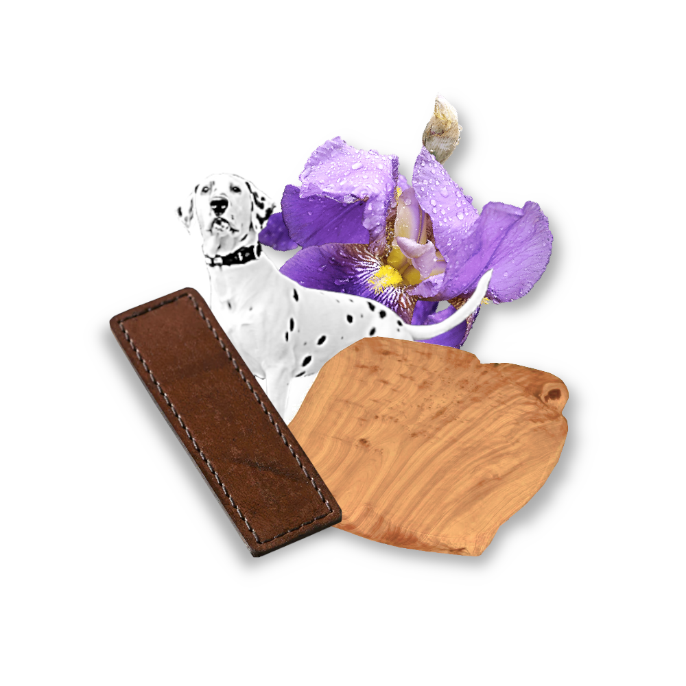 BOUGIE PARFUMÉE DALMATO colors