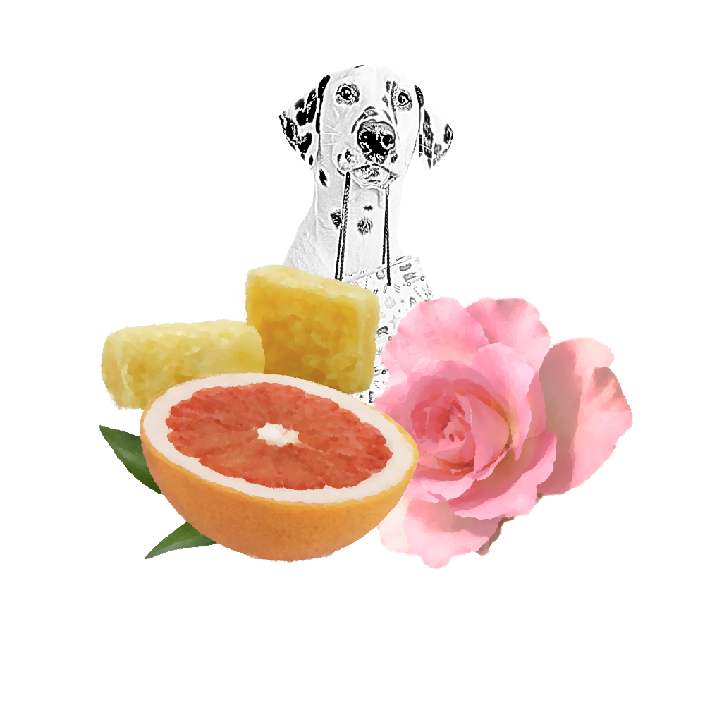 BOUGIE PARFUMÉE DALMATO gold